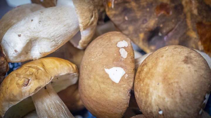 Les spécialités traditionnelles de Belfort